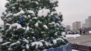 Скоро ёлки уберут,пока любуемся.🌲🥳