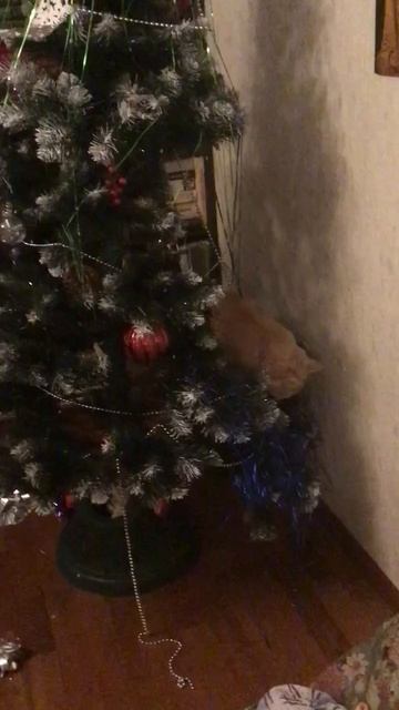 С крещененским сочельником! Если дедушка елку не разбирает, надо ему помочь Эпизод 2