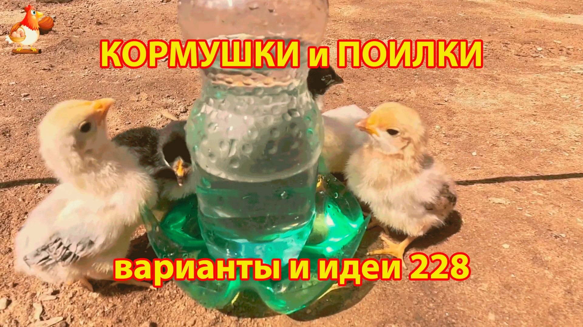 Кормушки и поилки для кур своими руками 228 🪚✂️ Пошаговая инструкция как сделать 🐔 🐓❣️ смотреть онлайн