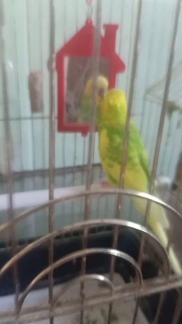 У меня не получилось его прославить?.. смотреть онлайн