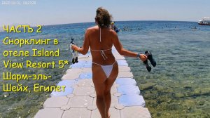 ЧАСТЬ 2. Снорклинг. Подводный мир. Риф отеля Island View Resort 5. Шарм-эль-Шейх, Египет.