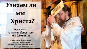 "Узнаем ли мы Христа?" Епископ Венёвский Феодорит.