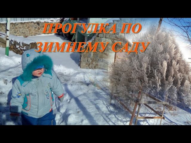 ПРОГУЛКА ПО ЗИМНЕМУ САДУ ФЕВРАЛЬ 2017 НАСТОЯЩАЯ ЗИМА смотреть онлайн