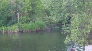 Васичи пруд, Советский район, Кировская область.