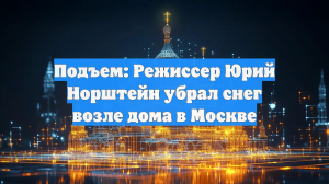 Подъем: Режиссер Юрий Норштейн убрал снег возле дома в Москве