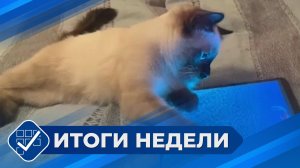 Итоги недели. 18 января 2026 года