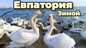 Евпатория 2026 ЛЮТЫЙ ХОЛОД!Гуляем по заснеженной набережной Терешковой.Показываем зимнее море.