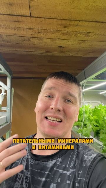 Не потому что модно смотреть онлайн