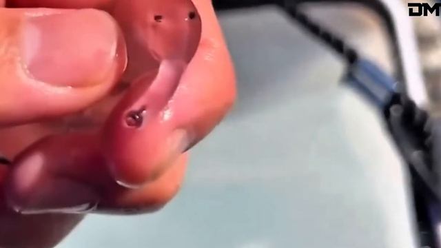 Феноменальные видео: редкие и невероятные моменты из интернета. Видео из интернета. смотреть онлайн