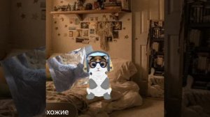 Я и буся💋❤❤😍😍😍😍