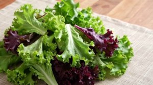 САЛАТ ЛИСТОВОЙ В КУЛИНАРИИ