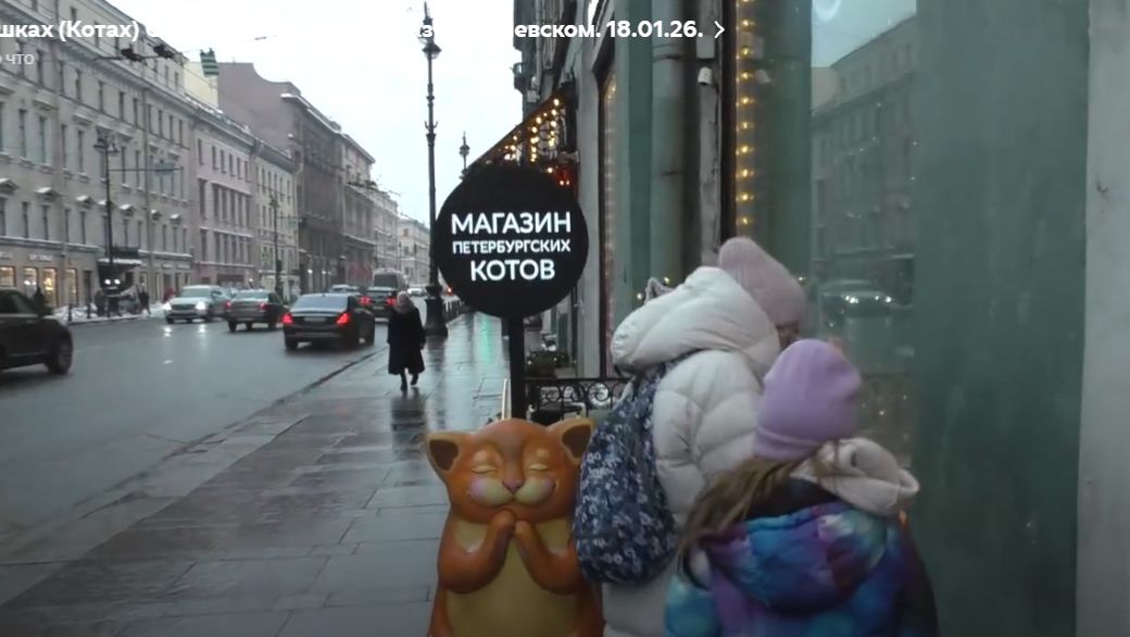 О Кошках (Котах)  Санкт-Петербурга. Магазин на Невском. 18.01.26. смотреть онлайн