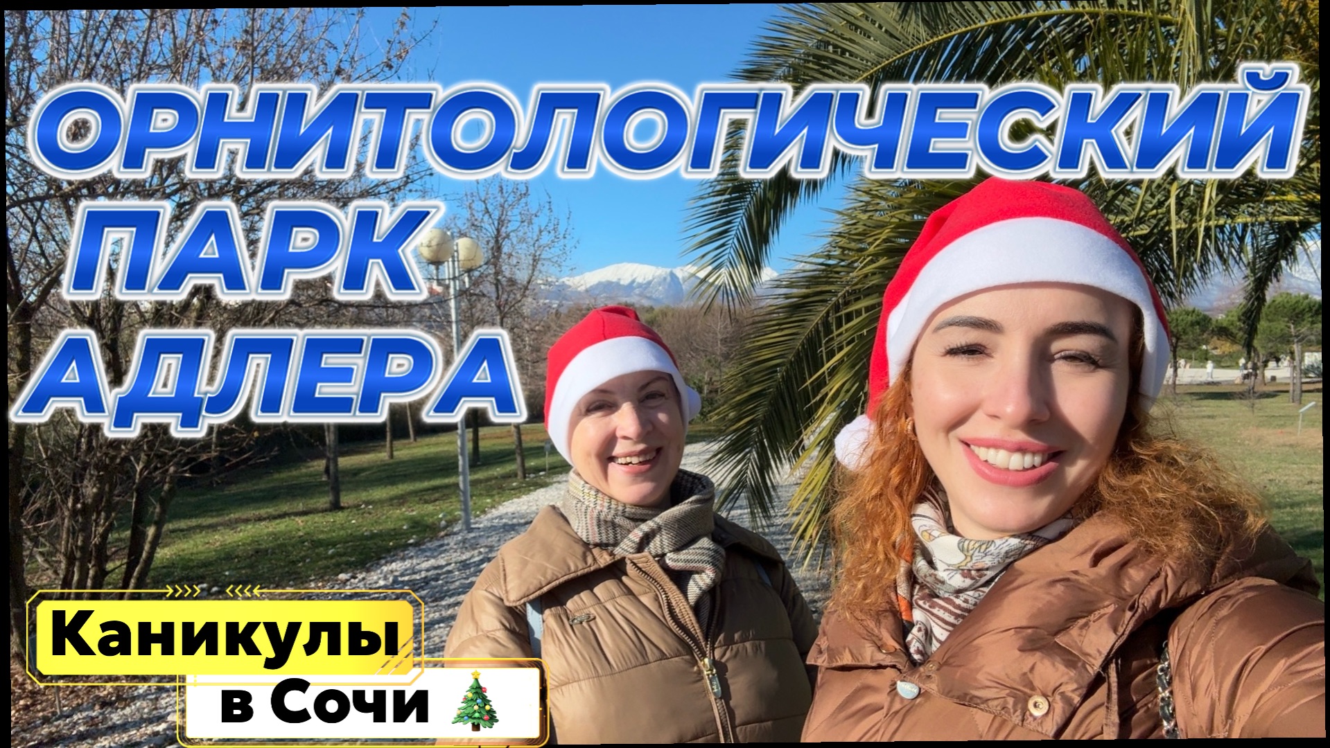 ОРНИТОЛОГИЧЕСКИЙ ПАРК АДЛЕРА 😁// Гуси-попрошайки и грустные ПОСЛЕДСТВИЯ ШТОРМА в Сочи 🙈 смотреть онлайн