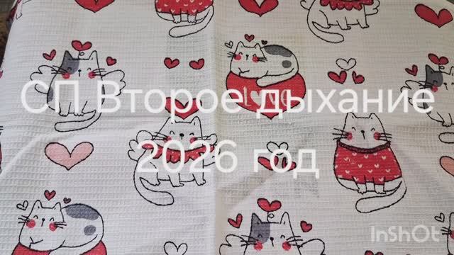 СП Второе дыхание..Отчёт. Январь 2026 год смотреть онлайн