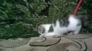 Маргошка - совсем крошка...