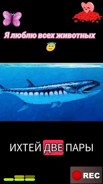 Я люблю всех животных😇 смотреть онлайн