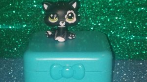 LPS: Распаковка Секретного Мини Пета