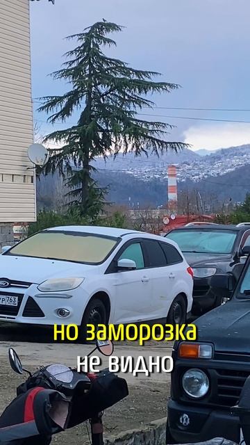 18 января Адлер утро