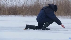 БЕШЕНАЯ ЩУКА не дает опустить живца! Зимняя рыбалка на жерлицы! Ловля на балансир!