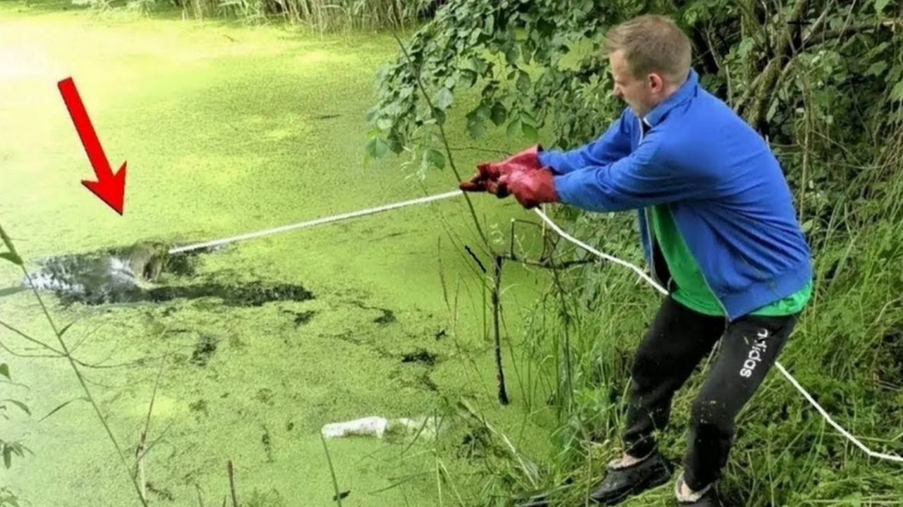 Ого НАХОДКА, Когда Это ПРИЛИПЛО к МАГНИТУ не Поверил Глазам, ФАРТОВЫЙ улов у Старого МОСТА!!! смотреть онлайн
