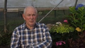 ГОРТЕНЗИИ — всё, что вам нужно знать о выращивании гортензий в вашем саду