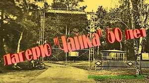 Чайке 50 лет