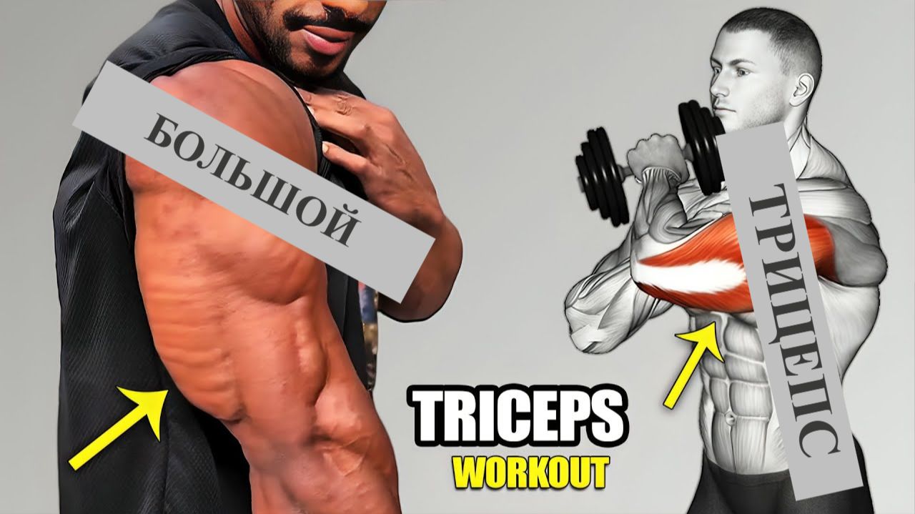7 Крутых Упражнений на Трицепсы для Наращивания Рук