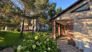 Дом в сосновом лесу