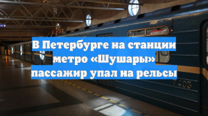 В Петербурге на станции метро «Шушары» пассажир упал на рельсы