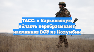 ВСУ отправили колумбийских наемников в Харьковскую область