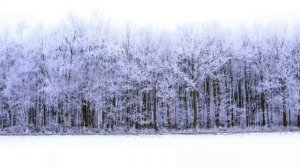 18 Января - Точка Силы. Все меняется.