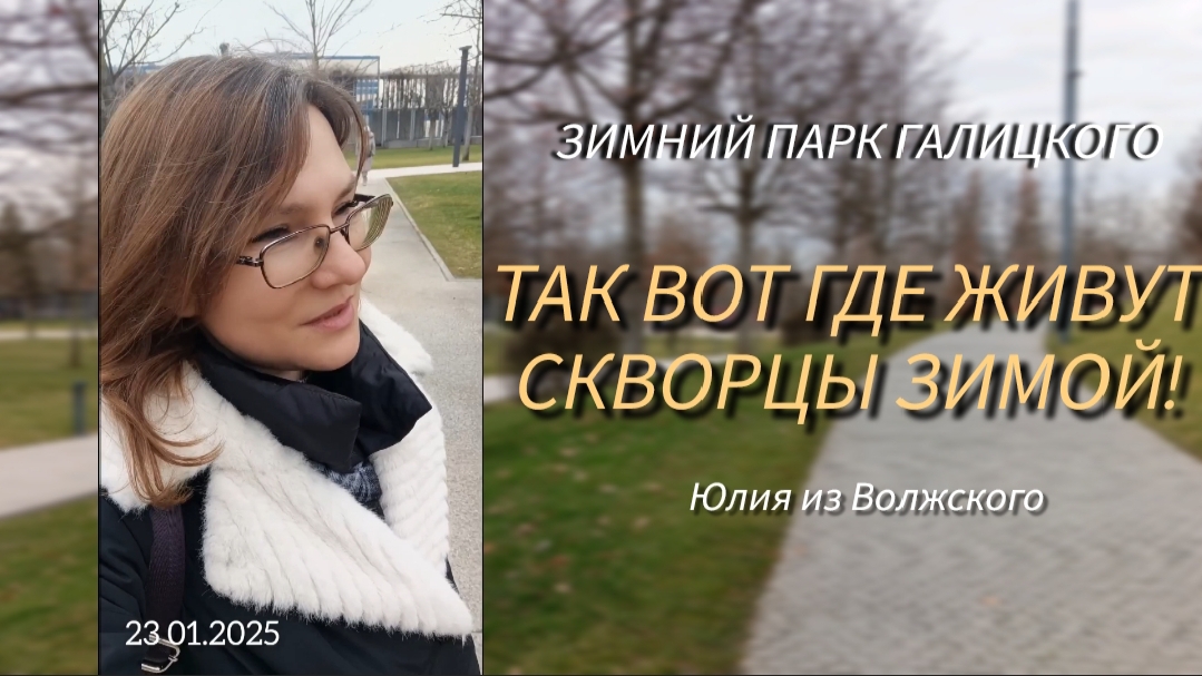 Зимний Краснодар. Скворцы! ✅ смотреть онлайн