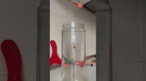 Популярные силиконовые приманки и насадки для зимней рыбалки