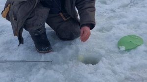 сёмкина 2 в комаровке