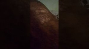 ШЛЁПА БЕГИ!!!🙀 ДУБИНКА ПРИБЛИЖАЕТСЯ К ТЕБЕ! ШЛЁПА и КОТЁНОК Спасаются от дубинки!