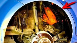 Вечный Антикор спустя 5,5 лет