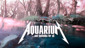 Аквариумное сафари на теодоксусов