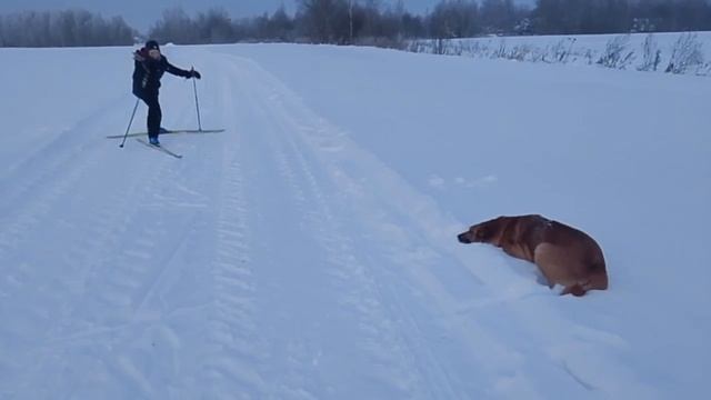 "Говорит,что любит только мне не верится" смотреть онлайн