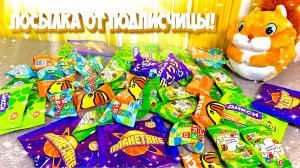 Архив промо-коллекций Пятёрочки и Дикси! 🥰 Новогодний Подарок от подписчика!  🎉🍬