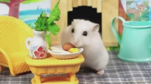 Вниз, вниз, продолжай спускаться!Когда же этот маленький хомячок кончится