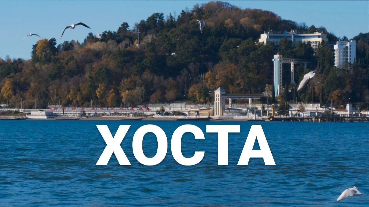 ХОСТА зелёный уголок СОЧИ зимой. Новый год 2026 смотреть онлайн