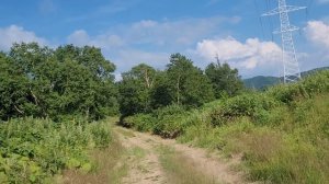 От танковой дороги до 60 лет Октября (29.07.2025)