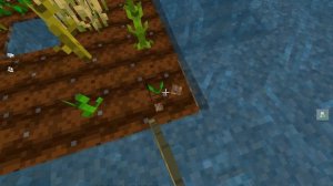 Садим картошку, помогаем жителям