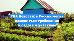 РИА Новости: в России могут измениться требования к садовым участкам