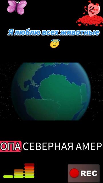 Я люблю всех животных😇 смотреть онлайн