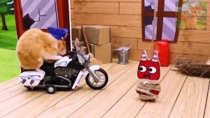 Полицейский-хомячок усердно работает каждый день, а маленький класс в одиночку разбивает ему сердце