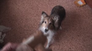 2026 новый год. готовим Лете еду