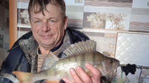 разделка окуня на филе. МК от Васильева Александра.Казахстан