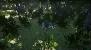 Pangea трейлер