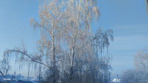 В Кузбассе продолжают хозяйничать морозы